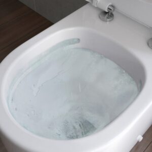 Rimless Toilets